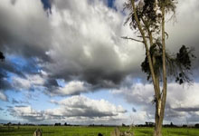 开云体育下载-立陶宛男篮力克雄鹿，卡鲁索助攻彰显团队精神