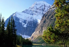 开云官方app入口-IG翻盘EDG，Tarzan单局斩获MVP四强赛2:0