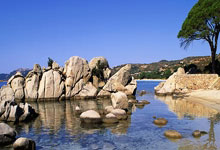 开云体育中国-日本羽毛球队绝杀印尼，谌龙关键制胜引爆羽坛热潮